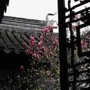 苏州旅游 缩略图 2