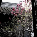 苏州旅游 缩略图 3