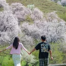 伊犁旅游 缩略图 3
