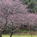 福州旅游 缩略图 12