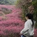 福州旅游 缩略图 14