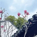 苏州旅游 缩略图 13