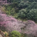 福州旅游 缩略图 17