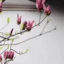 苏州旅游 缩略图 7