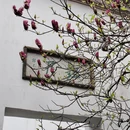 苏州旅游 缩略图 6
