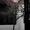 苏州旅游 缩略图 9