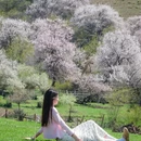 伊犁旅游 缩略图 6