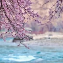 伊犁旅游 缩略图 4