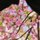 北京旅游 缩略图 5