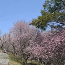 南京旅游 缩略图 3