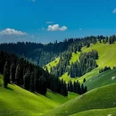 伊犁旅游 缩略图 5