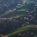 伊犁旅游 缩略图 2