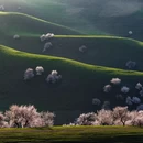 伊犁旅游 缩略图 4