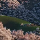 伊犁旅游 缩略图 6