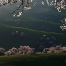 伊犁旅游 缩略图 5
