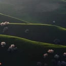 伊犁旅游 缩略图 7