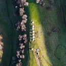 伊犁旅游 缩略图 5
