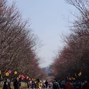 南京旅游 缩略图 7