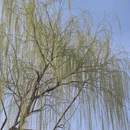 南京旅游 缩略图 9