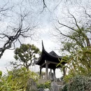 苏州旅游 缩略图 15