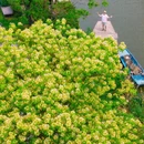 广州旅游 缩略图 5