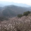 北京旅游 缩略图 2