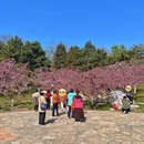 北京旅游 缩略图 7