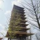 南京旅游 缩略图 6