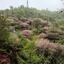 宁波旅游 缩略图 2