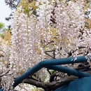 无锡旅游 缩略图 8