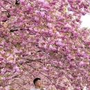 北京旅游 缩略图 14