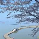 无锡旅游 缩略图 14