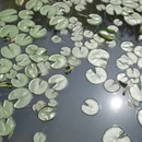 南京旅游 缩略图 5