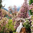 林芝旅游 缩略图 4