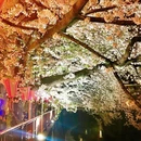 北京旅游 缩略图 9