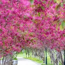 北京旅游 缩略图 4