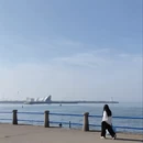 青岛旅游 缩略图 2