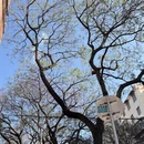 昆明旅游 缩略图 2