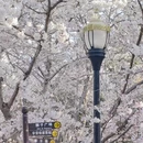 大连旅游 缩略图 6