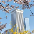 大连旅游 缩略图 8