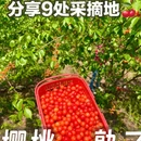 成都旅游 缩略图 1