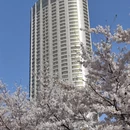 大连旅游 缩略图 16