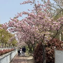 上海旅游 缩略图 5