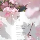 北京旅游 缩略图 5