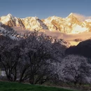 林芝旅游 缩略图 1