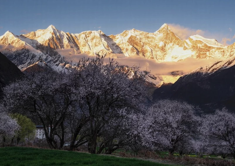 林芝旅游 1