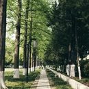 南京旅游 缩略图 3