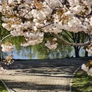 北京旅游 缩略图 15