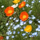 上海旅游 缩略图 11