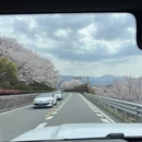 宁波旅游 缩略图 12
